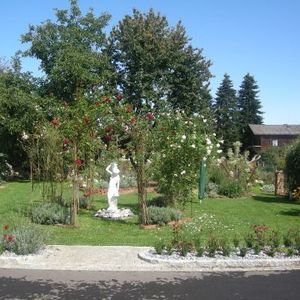 Arkadenhof Garten mit Bäumen