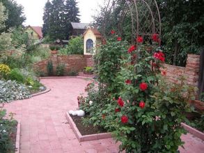 Roter Rosenbogen